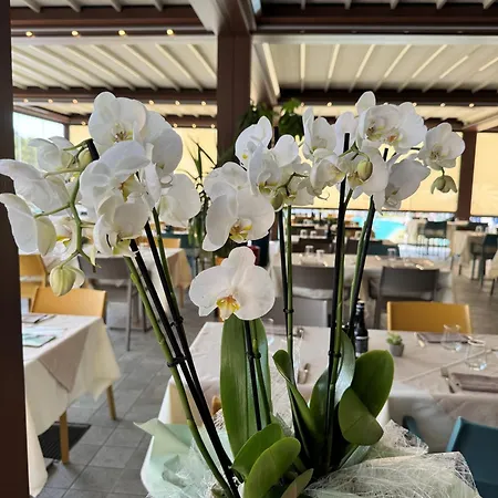 Sisan Family Resort Bardolino